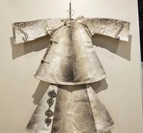 如何泡发干鱼皮 2026年怎么泡发干鱼皮