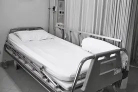 最后的陪伴图片