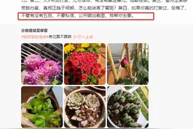 传统男配传统男，现代男配现代女，渣男锁死渣女图片