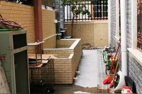 花最少的钱，建个简易鱼池和龟池图片
