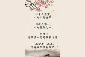 你拿人当宝，别人却拿你当草图片