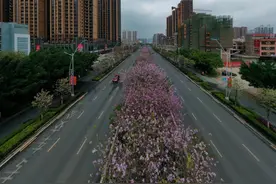 较量！贵港8例新冠肺炎确诊病例全部治愈出院纪实图片