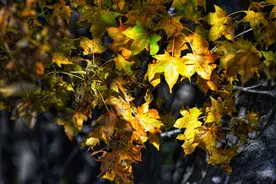 河北山地札记之灵寿五岳寨图片