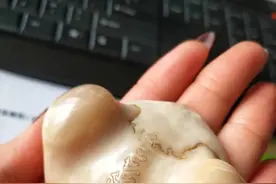 爱玩骨头的姑娘，你敢不敢爱图片