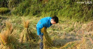 鸡皮疙瘩2在线观看带字