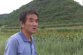沁源县韩洪乡泽山村：多种产业齐发力 村民致富有奔头图片