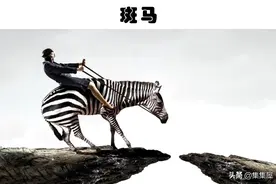 即便发展了很多年，如今依然无法被真正驯化的9种动物图片