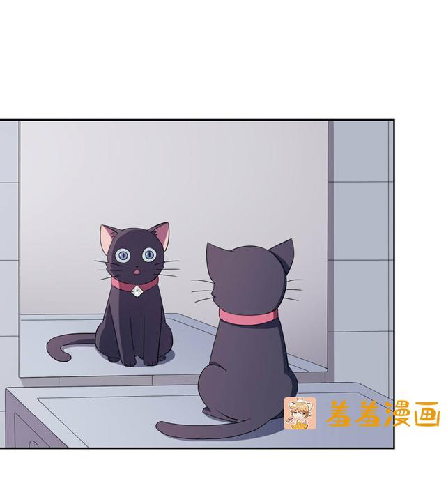 夜路走多了，竟捡到宝，带着巨钻的小黑猫一只