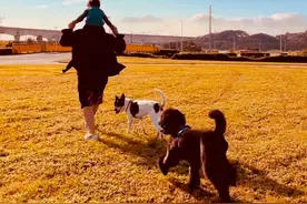 昆凌忙工作周杰伦当妈带子女出外游玩 让子女骑脖子的画面很温馨图片