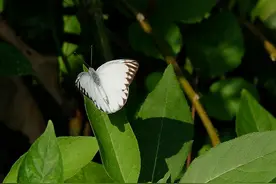 断联后有这些感受的，多半是彼此的真爱图片