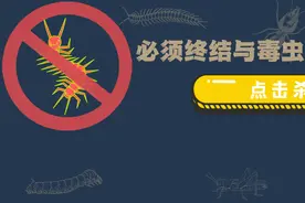 剧组又有人被蜈蚣咬进医院了——终结影视人跟毒虫们的爱恨情仇图片