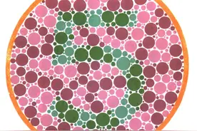 5张色觉测试图，只要有一张无法识别，就是绿色色弱图片