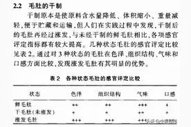 海底捞毛肚：很多人不知道的毛肚泡发图片