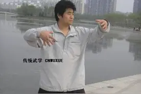 大成拳神龟出水练与用图片