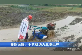 小农机用起来！襄阳万亩油菜大丰收 省时省力效率高图片