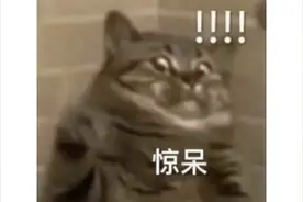 「中超“限购令”？」新赛季中超最有可能这样踢图片