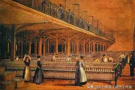 三百年前棉花引发的大国战争，这三种植物改变了世界格局图片