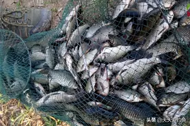 冬季野河钓鲫鱼，不是每段都有鱼，找这四种位置，鲫鱼基本躲这里图片