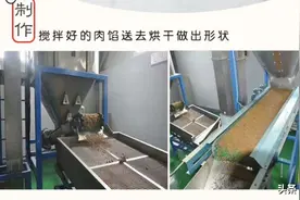 注意｜宠物自制宠物零食要避坑，这些坑你踩过吗？图片