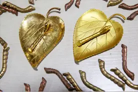 “蛊”究竟是什么？1958新中国对抗“蛊病”实录，毛主席亲自部署图片