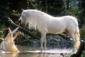 独角兽真的存在吗？最纯洁的少女为何会是温柔陷阱？图片