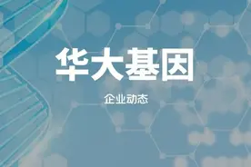 华大基因是一家怎么样的公司？图片
