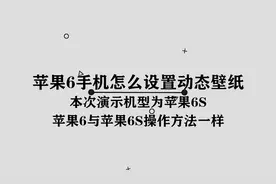 苹果6手机怎么设置动态壁纸图片