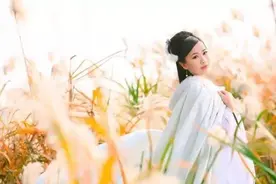 41岁苏轼为爱痴狂，种下三万多株松树，到哪还有这般痴情人？图片