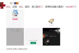 B站、A站、豆瓣、晋江全崩了？连上海消防也被惊动！最新回应来了图片