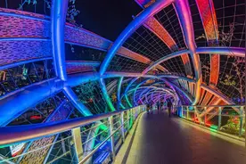 深圳最新灯光秀来了！梦幻水幕，浪漫星海，这5个区都有图片