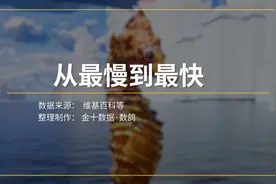 速度的极限是什么？从最慢到最快，带你感受速度的变化视频封面