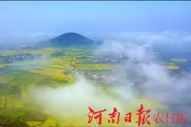 光山：农旅仙居 从产业扶贫走向乡村振兴图片