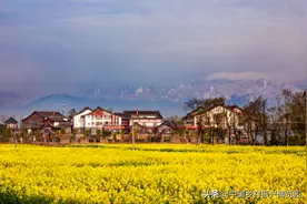 四川省农村集体经济组织条例图片