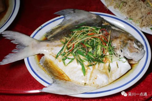 吴川有花胶吗 2026年吴川市花 吴川有花胶吗 2026年吴川市花