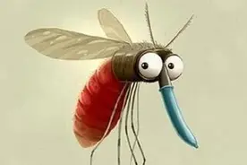 蚊子最高可以飞到几层？专家说出“答案”后，后悔买错楼层了！图片