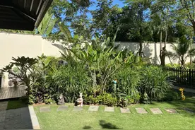 庭院无树，无福无禄？有院子就种15种树，随便选一种，吉祥又好看图片