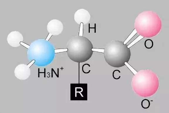 世界各地神话中蛇的形象，能带给我们什么科学启示？