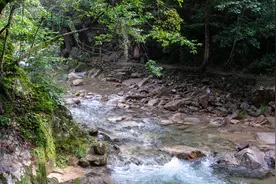 皖南的醉山野，汇聚了黄山与九寨沟的精华，少有人知的避暑胜地图片