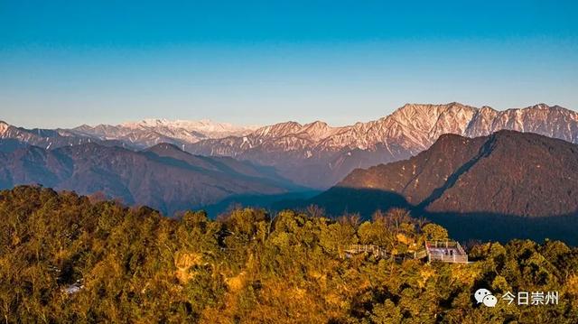 上山尝鲜去！第九届牛尾笋采摘体验季启动