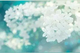 真正有钱的男人喜欢的女人，有4种图片
