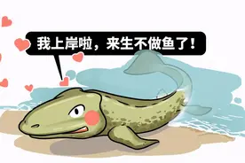 鲸鱼和鱼没有亲戚关系为何这么像？它的祖先上了岸为何又回到水里图片