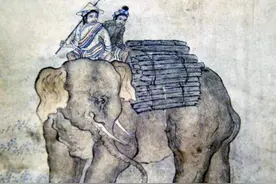 野象断鼻家族北漂启示五：研究傣族象崇拜弘扬生态文明图片