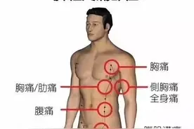 五脏六腑疼痛区域高清图，生病了该按哪里，标得一清二楚，超实用图片