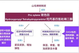 玻色因/Pro-Xylane图片