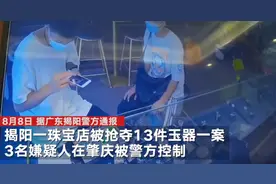 2男子假装看货抢走价值百万玉器 揭阳警方：已控制嫌疑人追回赃物图片