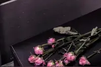在家教您去鱼片，切记两点提示，鱼片光滑嫩滑，美味而不易碎图片