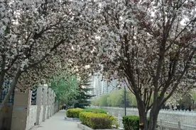 女人过了多少岁就开始“贬值”了？图片