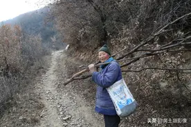 7旬老夫妻隐居深山放羊采药，方圆十几里没有人家，看生活啥样子图片
