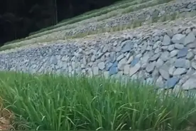 不计成本，不算效益，投巨资开山造田到底值不值？图片
