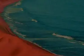 只因那个人是你图片